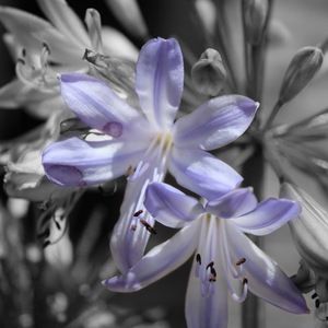 Meet your Posher, Briannah